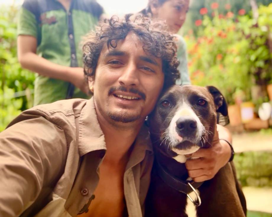 Chetan Swaroop — mountains